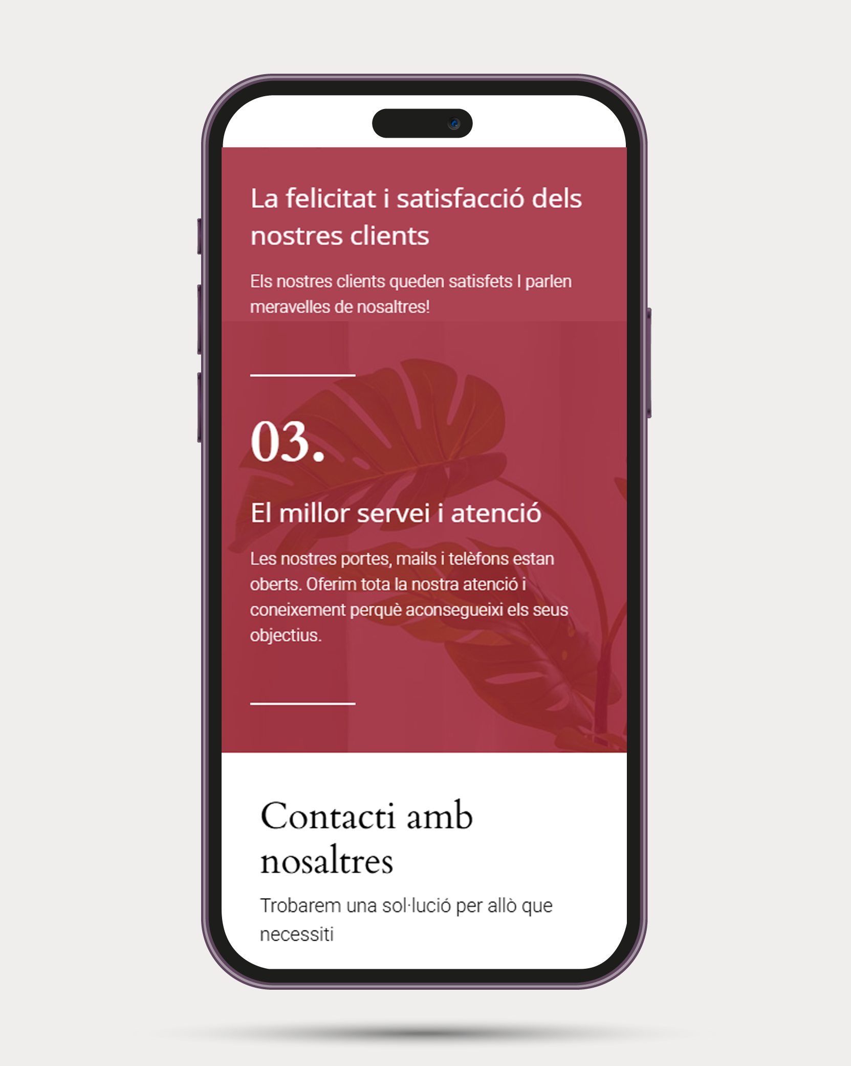 Web immobiliaria