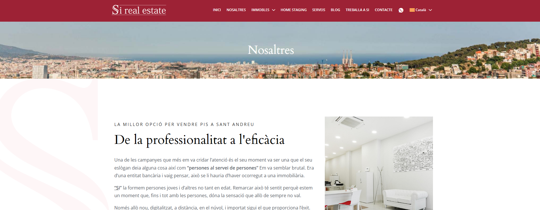 Web immobiliaria
